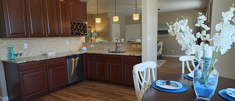 adVance Realty - Stunning New Kitchen